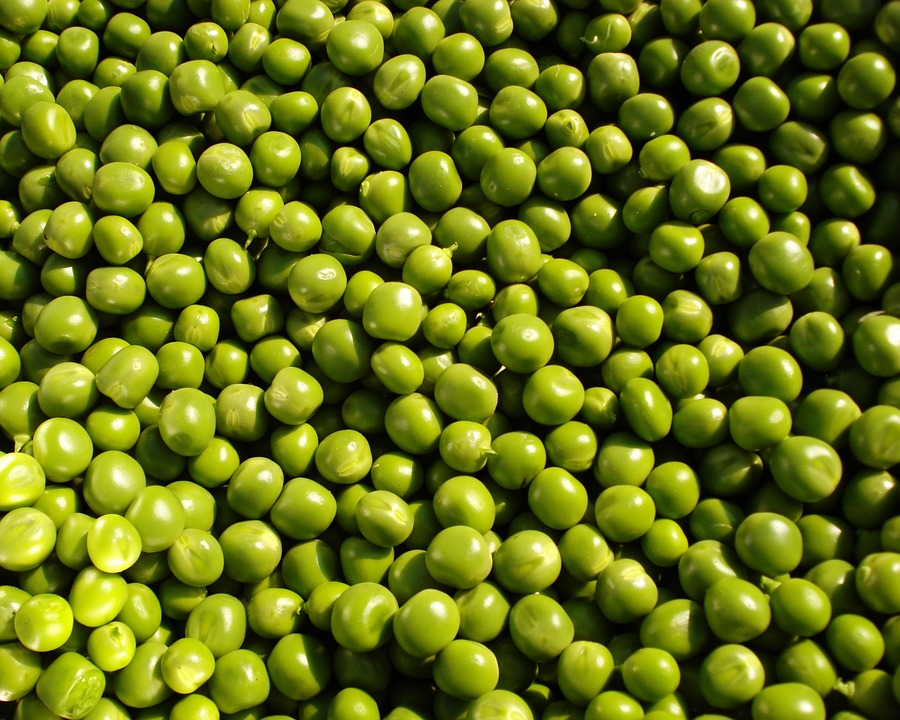 peas-115951_960_720.jpg