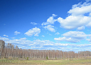 Путьково, конный клуб