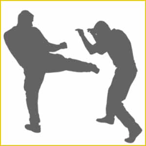 
Нижегородцев обучат самозащите и рукопашному бою 