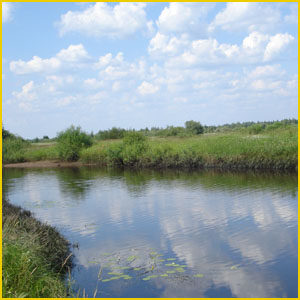 
В Сормовском районе почистят озеро Светлоярское 
