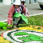 Дачные штучки со Skoda