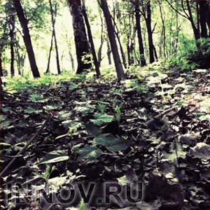 В России найден свой Маугли