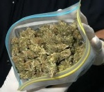 В Сарове у молодого человека изъяли 1 килограмм марихуаны