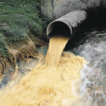 Суд обязал коммунальщиков обеспечить качество очистки сточных вод