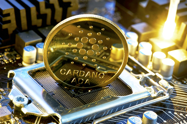 Криптовалюта: первые шаги инвестора и как Antminer S21 PRO 234 может изменить правила игры