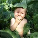 Народные приметы от INNOV: 25 июня