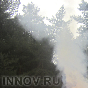 Не ходите дети по лесам гулять! Высокая пожароопасность в Нижегородской области