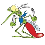 Народные приметы: 13 мая