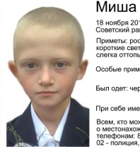 Миша Евдокимов, пропавший мальчик, найден в ТРЦ "МЕГА"