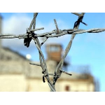 Ни одно ходатайство о помиловании не было рекомендовано к удовлетворению