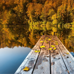 Народные приметы от INNOV: 21 сентября