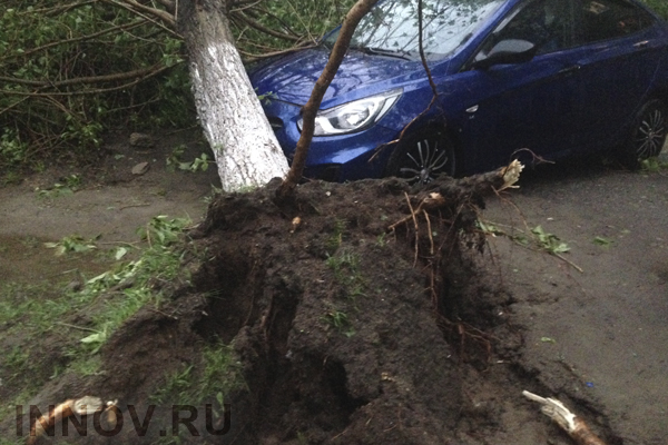 Гроза в Нижнем Новгороде: деревья и строительные заборы вырваны с корнем