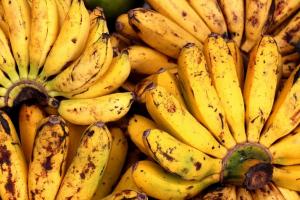 «Банановая болезнь» прогрессирует