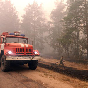 Департамент лесного хозяйства региона сведёт к нулю количество лесных пожаров 