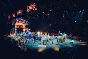 Детям могут закрыть доступ на цирковые представления