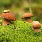 Народные приметы от INNOV: 29 мая