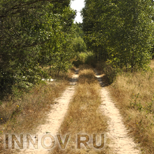Трое суток назад три женщины-паломницы заблудились в лесу в Первомайском районе Нижегородской области