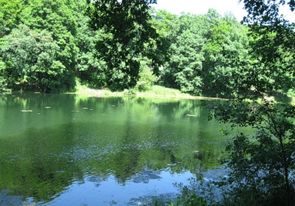 Пляж на Щелковском хуторе на Озере №2