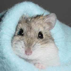 Народные приметы от INNOV: 17 сентября