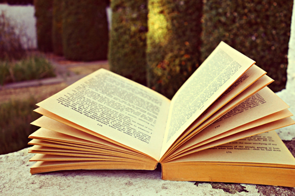 Книга Витязь в розовых штанах Дарьи Аркадьевны Донцовой