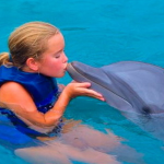Дельфины будут лечить детей-инвалидов Советского района 