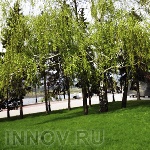 Новым туристическим центром Нижнего станет парк Кулибина