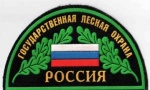 Организована прямая линия лесной охраны