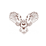  Куратор НН, юридическая фирма