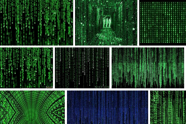 Актеры Киану Ривз и Кэрри-Энн Мосс похвалили сценарий новой «Матрицы»
