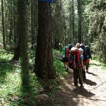 Маршрут «Южной экспедиции» пройдет по Нижегородской области