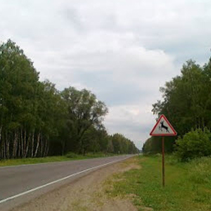В Нижегородской области снимают мистический фильм