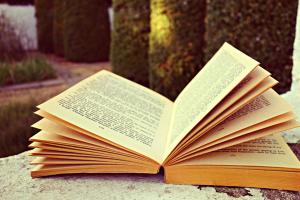 Книга Витязь в розовых штанах Дарьи Аркадьевны Донцовой