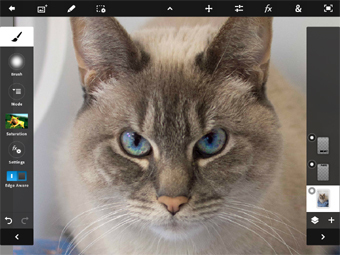 Сенсорный Photoshop вышел на iPad Сенсорный Photoshop вышел на iPad