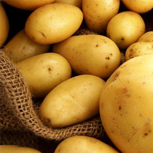 Картофель в Нижнем Новгороде подешевел на 35%