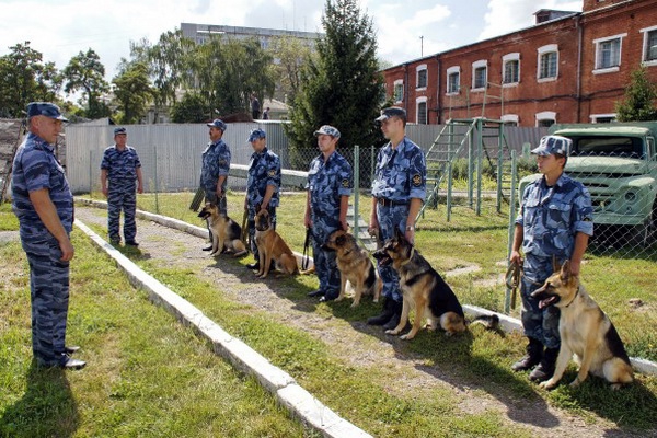 Бизнес план кинологического центра