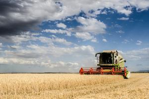 Краснодарский край будет поставлять на экспорт органическую сельхозпродукцию