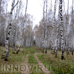 Нет удостоверения тракториста-машиниста, значит, внедорожник не для тебя!