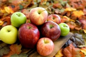 Эксперты рассказали, сколько яблок можно съедать за сутки