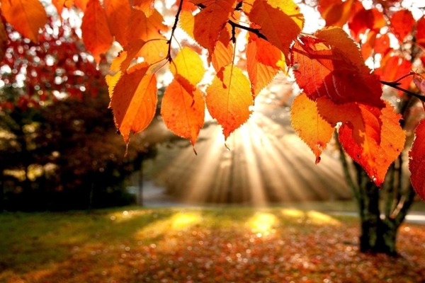 Эксперты рассказали, как справиться с осенней хандрой