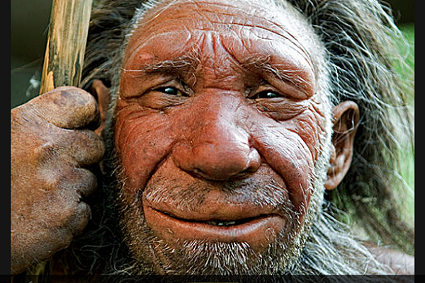 Специалисты назвали новую причину исчезновения неандертальцев