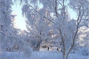 Предстоящая зима в России может стать самой суровой за последние 5 лет