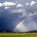 Народные приметы: 25 апреля