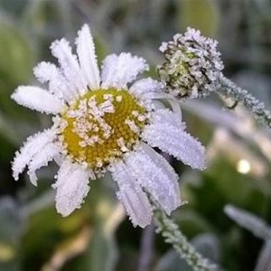 Народные приметы от INNOV: 19 сентября