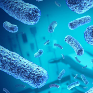 Серозный менингит: плюс 11 заболевших 