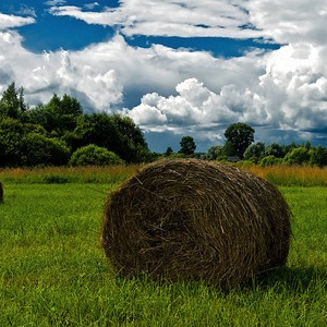 Народные приметы от INNOV: 14 июля