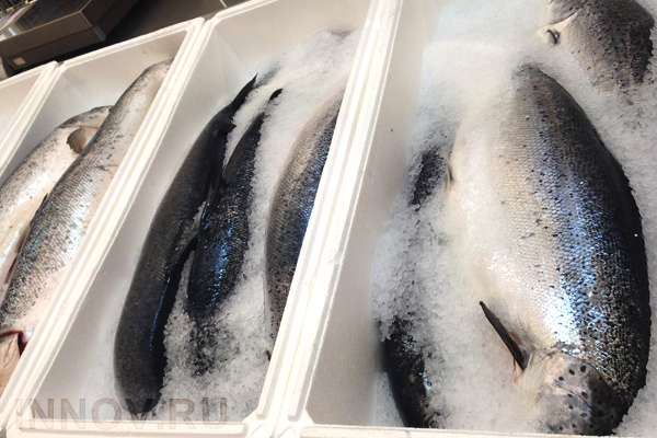 Власти Сахалина совместно со Сбербанком создадут структуру для поставки рыбы в регионы