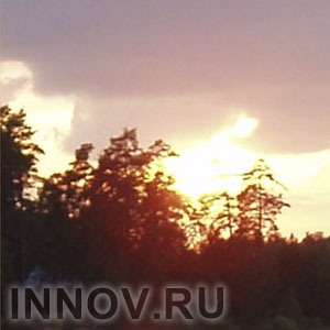 Лесной пожар в Выксе потушен