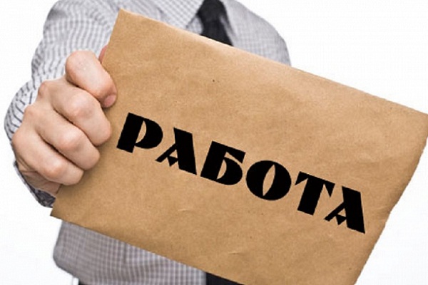 При трудоустройстве наибольший интерес у нижегородцев вызывает сфера продаж