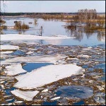 В Кулебакском и Навашинском районах Нижегородской области будет объявлена Чрезвычайная Ситуация