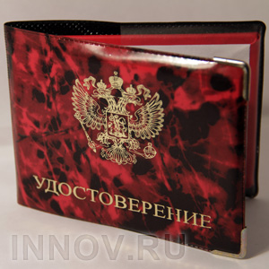 Министр, уволенный за поддельный диплом, устроился на работу приставом